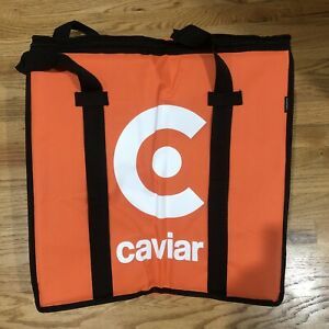 Caviar Large Heavy Duty Insulated Food Delivery Bag by Bluemark - 20”x 19”x 9”
