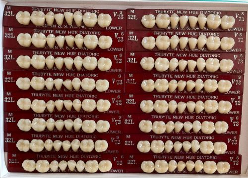 Dentsply New Hue Dentist Dental Lab Porcelain Denture Teeth -  32L L  73