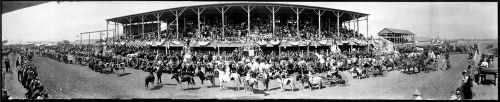 1911 Livestock Prize Winners County Fair Vintage Panoramic Photograph 34&#034; Long