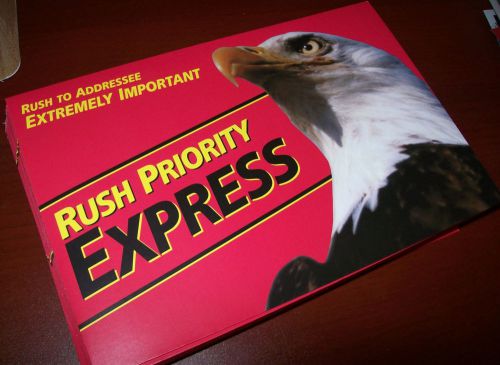 Rush Priority Express Envelopes 6&#034; x 9&#034; USPS UPS Fedex 100 count