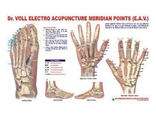 Acupuncture Meridian Points Chart E.A.V. Study Educational Academics Teaching
