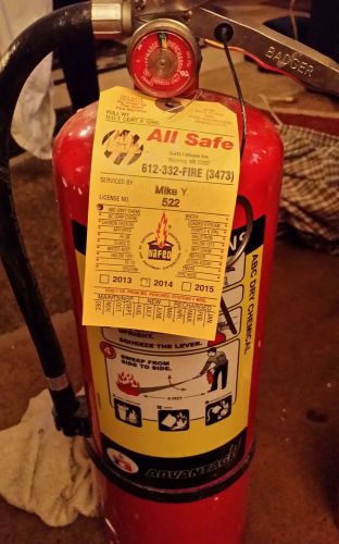 10 lb fully charged ed ADVANTAGE FIRE EXTINGUISHER