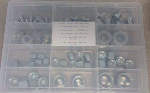Jic plug and cap hydraulic adapter fitting kit 64 pc lot kit set for sale
