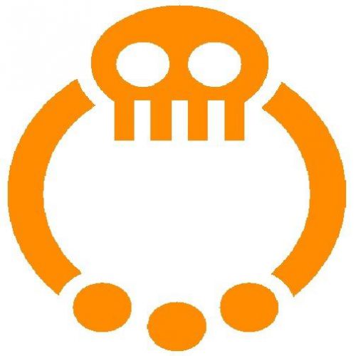 30 Custom Orange Skull Ring Personalized Address Labels
