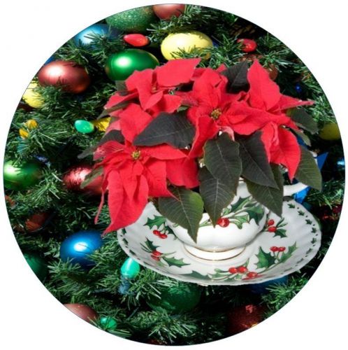 30 Personalized Return Address Labels Teacup Christmas Buy3 get1 free(fx36)