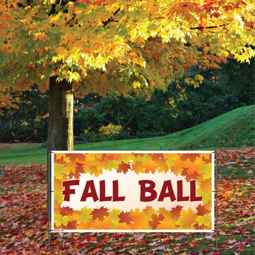 Autumn and Fall - Fall Ball - 2&#039; x 4&#039; Vinyl Banner