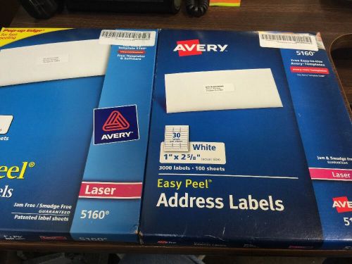 2 Boxes AVERY 5160 White Address Labels 1&#034; X 2 5/8&#034; 6000 Total Labels 200 Sheets