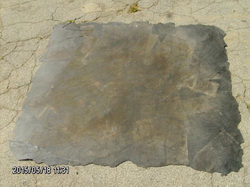 (1) PROLINE stamped concrete 4x4 seamless skin mat w/ handles as-is