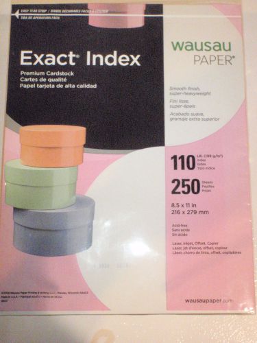 Wausau Paper Exact Index Premium Cardstock 2@ 250 Sheets 500 Total Gray Color