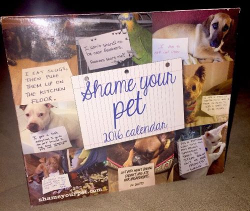 Shame Your Pet 2016 Desk Calendar - FREE SHIPPING!