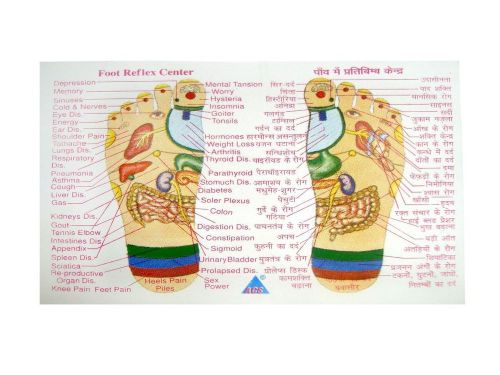 Foot &amp; Hand Reflexology New Visiting Card Very Useful-100 Piece Each Educational