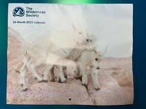 The Wilderness Society 16 Month 2022 Wall Calendar Conservation Outdoors Animals