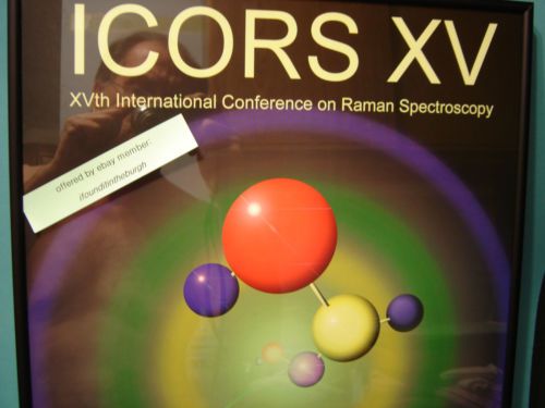 Raman Spectroscopy ICORS Framed Poster XV Nerdware Nerd Decor Great Colors PICS
