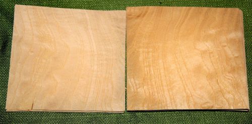 About 20 leafs of white ash @ 4-7/8 x 4-5/8 wood veneer  #v1232 for sale