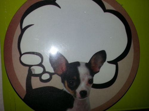 Brand New ROUND Sticky Note Pad Chihuahua