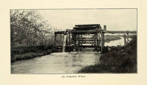 1906 Print Idaho Irrigation Wheel Agriculture Farming ORIGINAL HISTORIC PM2