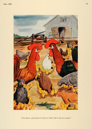 1938 Print Robert Holley Art Farm Roosters Hens Chicks - ORIGINAL ESQ1