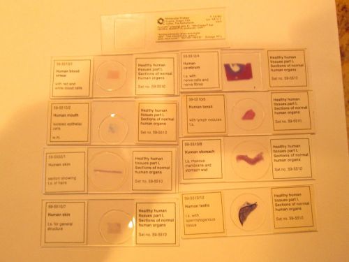 Set of 8 Healthy Human Tissue Slides Molecular Probes Set #59-5510 &amp; 59-5550