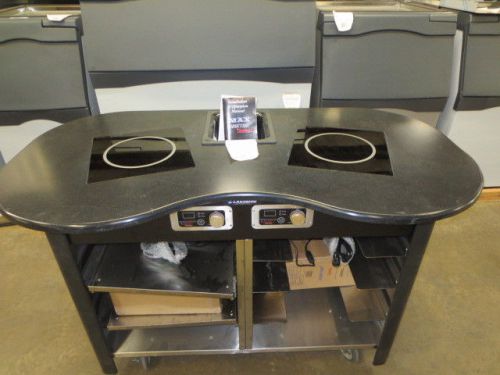 Outdoor mobile induction cooking cart 60&#034; by Lakeside (3070)