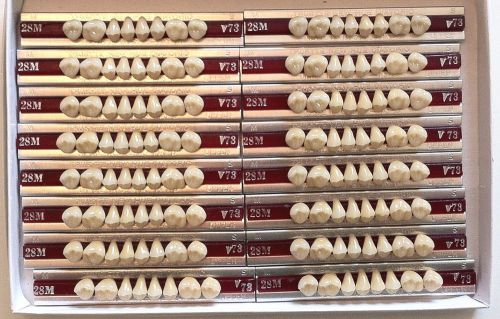 Dentsply New Hue Dentist Dental Lab Porcelain Denture Teeth - 28M  U   73