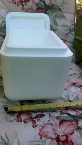 small styrofoam box for shipping