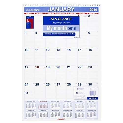 At-A-Glance AT-A-GLANCE Monthly Wall Calendar 2016, 15.5 x 22.75 Inches (PM3-28)