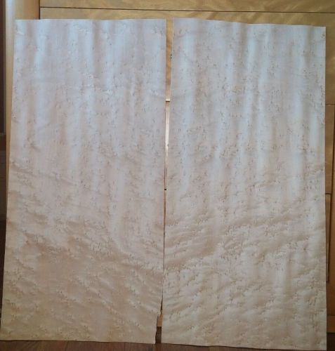 2 buckled pieces wavy birdseye maple wood veneer 26.5&#034; x 12.6&#034; Luthier 1/42&#034;