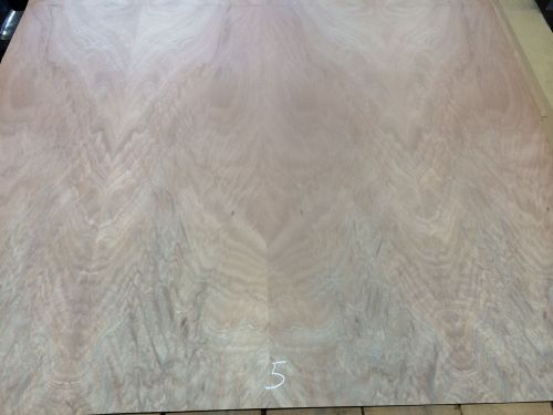 Wood Veneer Crotch Okoume 48x39 1pcs total 20mil Paper Backed &#034;EXOTIC&#034; CRLM5