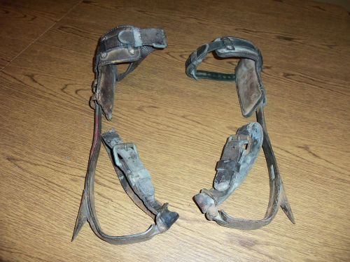 Tree / pole climbing spikes leather padded melling forging co. 3 1/2&#034; spike for sale