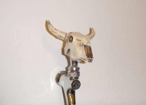 Bison head dead animal cow skull steer bone beer tap handle custom beer brewery