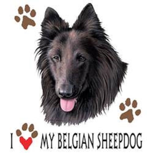 I Love My Belgian Sheepdog Dog HEAT PRESS TRANSFER for T Shirt Sweatshirt 908c