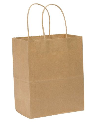 Duro Tempo Small Shopping Bag Kraft Paper 4-1/2&#034;x8&#034;x10-1/4&#034; 250 ct Legislativ...