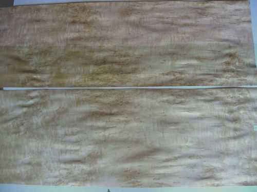 Exotic Wood Veneer - Karelian Birch  #16