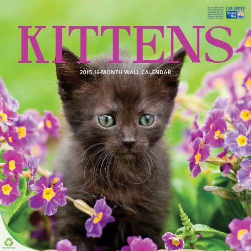 2015 KITTENS 12x12 Wall Calendar NEW &amp; SEALED Cute Cats Every Month!
