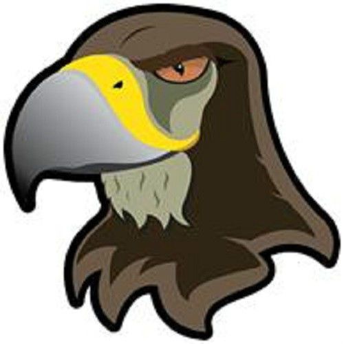30 Custom Cartoon Hawk Personalized Address Labels