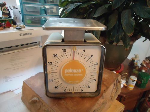 Rubbermaid-pelouze-k16ss-compact-portioning-control-scale-16-oz for sale