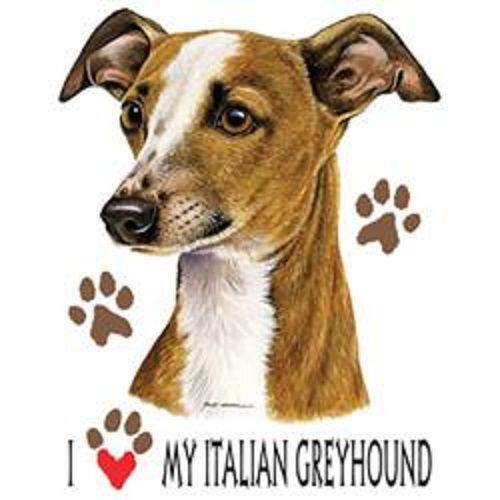 I Love My Italian Greyhound Dog HEAT PRESS TRANSFER for T Shirt Sweatshirt 852a