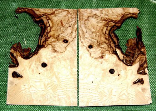 6 leafs of olive ash burl @ 6.25 x 4.25 wood veneer  #v1403 for sale