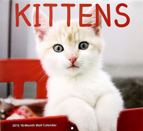 Kittens  - 2015 16 Month  WALL CALENDAR - 12x11 - NEW 2015