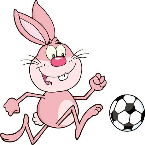 30 Custom Pink Soccer Bunny Personalized Address Labels