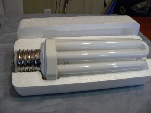FluoreX 65-Watt Fluorescent Bulb Replacement  9166B  6500K