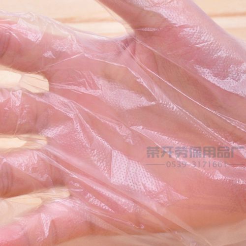 50 pcs PE Disposable Gloves Food Preparing Glove Food Gloves Cleaning Beauty
