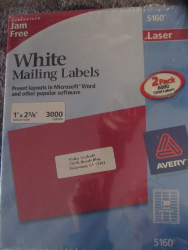 2 Boxes (6,000 labels) Avery 5160 (1&#039;&#039; x 2 5/8&#039;&#039;) White Mailing Labels