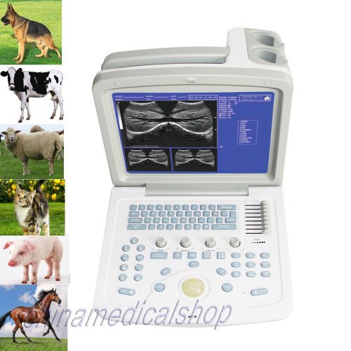 LCD Veterinary digital ultrasound scanner machine-with two probes very stabile