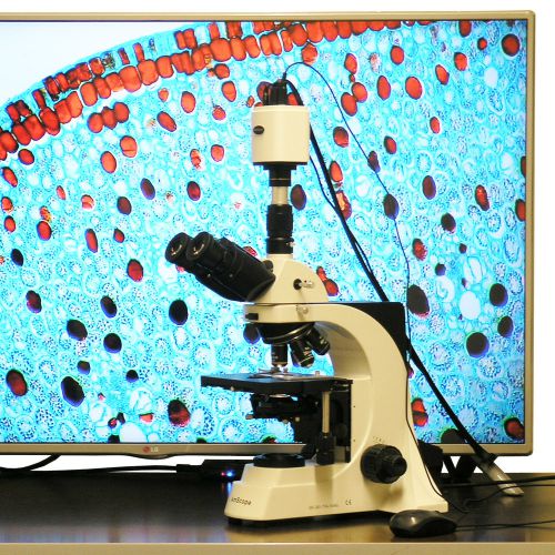 40x-2500x plan infinity laboratory trinocular compound microscope &amp; 1920x1080 hd for sale