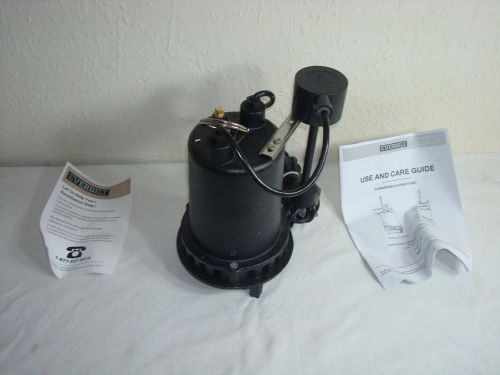 Everbilt 1 hp professional sump pump for sale