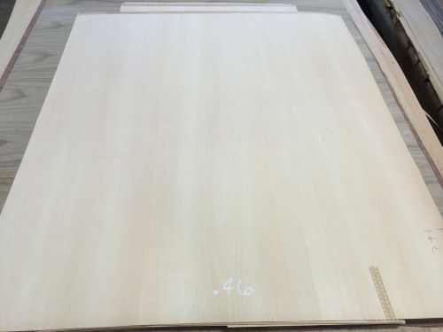 Wood Veneer Maple 41x48 1pcs total 10Mil Paper Backed  &#034;EXOTIC&#034; NXT 46