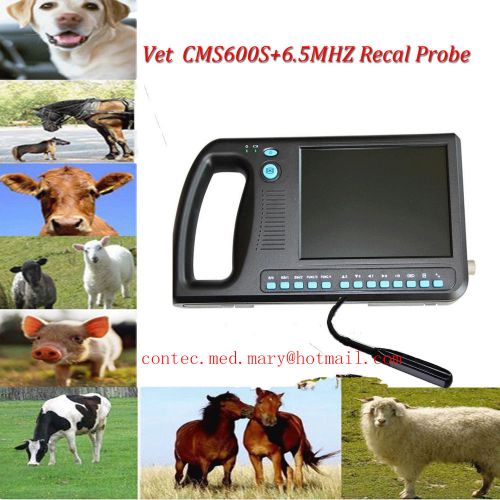 With two probes,,vet veterinary,software digital palmsmart ultrasound scanner for sale