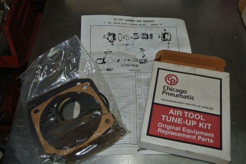 Chicago Pneumatic 791 Air Tool Tune-Up Kit