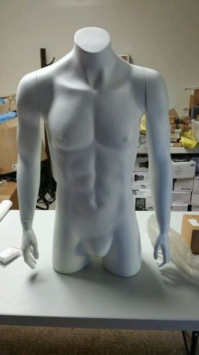 WHITE MALE TORSO MANNEQUIN FORM w/Stand Mans Clothing Display